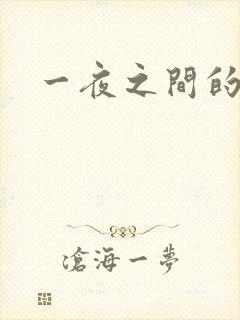 一夜之间的天才