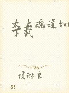 太上魂道txt下载