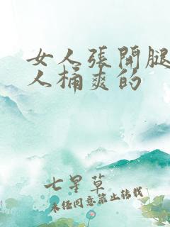 女人张开腿让男人桶爽的