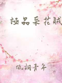 极品采花贼