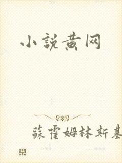 小说黄网