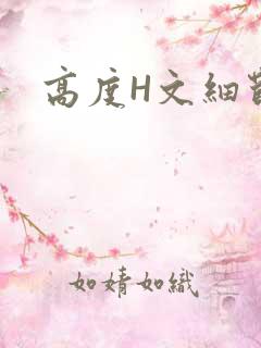 高度H文细节