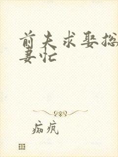 前夫求娶总裁追妻忙