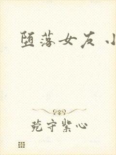 堕落女友 小说