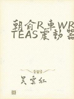 朝俞R车WRITEAS震动器