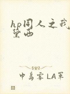 hp同人之我叫黛西