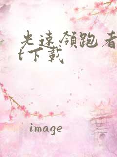 光速领跑者txt下载