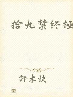 拾九禁终极直播