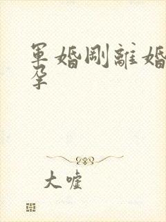 军婚刚离婚就怀孕