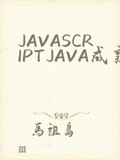 JAVASCRIPTJAVA成熟亲子