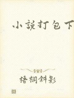 小说打包下载