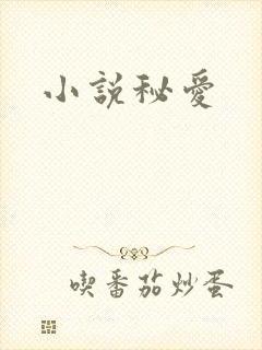 小说秘爱