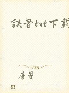 铁骨txt下载