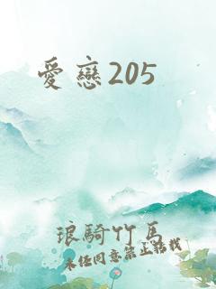 爱恋205