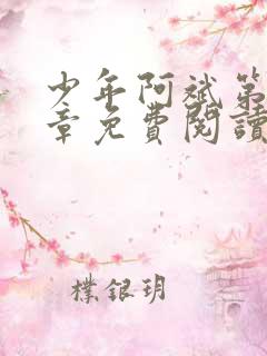 少年阿斌第13章免费阅读