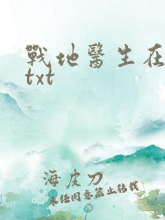 战地医生在都市txt