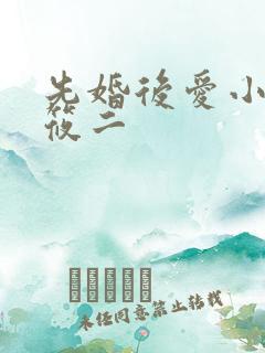 先婚后爱小说梦筱二