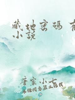 藏地密码 有声小说