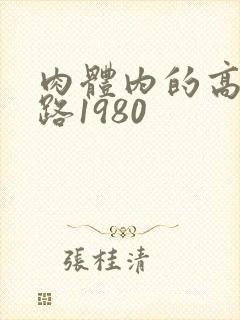 肉体内的高速公路1980