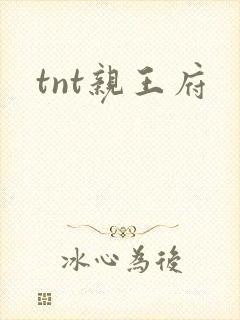 tnt亲王府