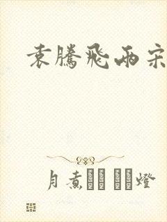 袁腾飞两宋风云