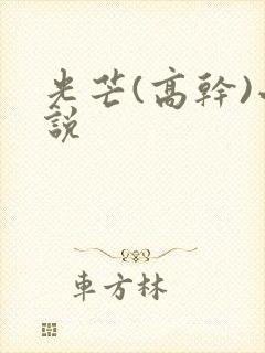 光芒(高干)小说