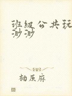 班级公共玩具叶渺渺