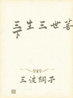 三生三世菩提树下