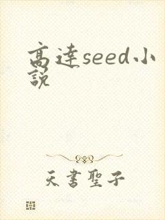 高达seed小说