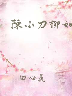 陈小刀柳如意