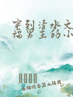 穿到清水文里造福男主的小说