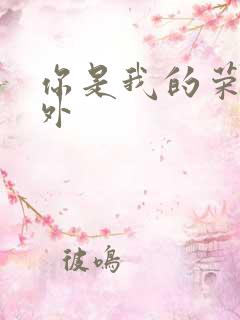 你是我的荣耀番外