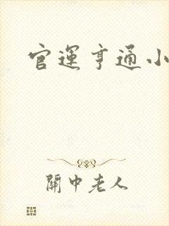 官运亨通小说
