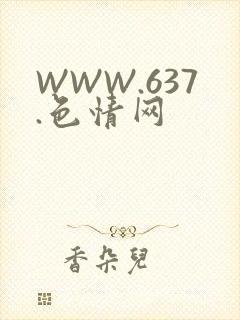 WWW.637.色情网