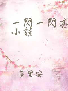 一闪一闪亮星星小说