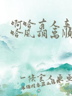 啊哈有人来了啊哈风调禹顺