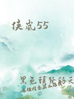 侠岚55