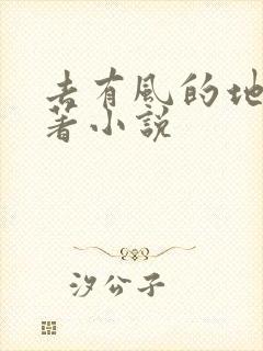 去有风的地方原著小说
