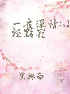 一夜深情:小叔轻点宠
