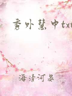 秀外慧中txt