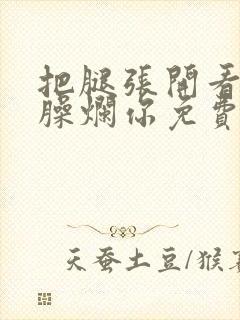 把腿张开看老子臊烂你免费