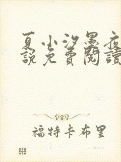 夏小汐墨夜霆小说免费阅读