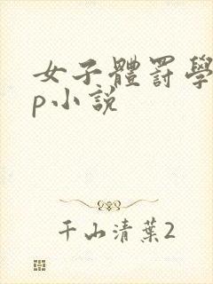 女子体罚学校sp小说