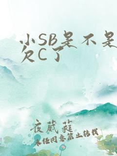 小SB是不是又欠C了