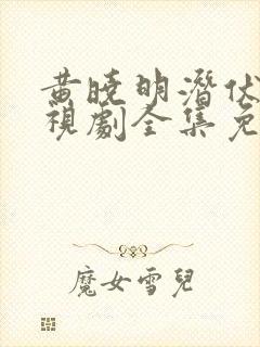 黄晓明潜伏者电视剧全集免费观看