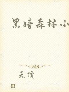 黑暗森林小说