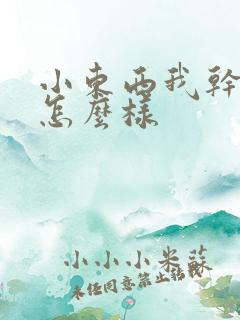 小东西我干的你怎么样