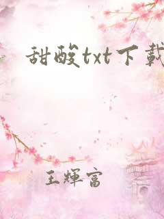 甜酸txt下载