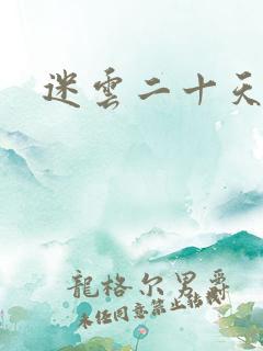 迷云二十天