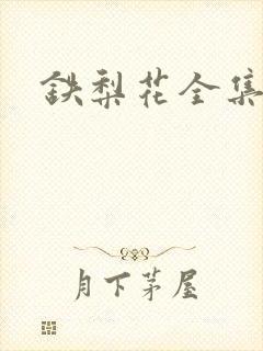 铁梨花全集下载